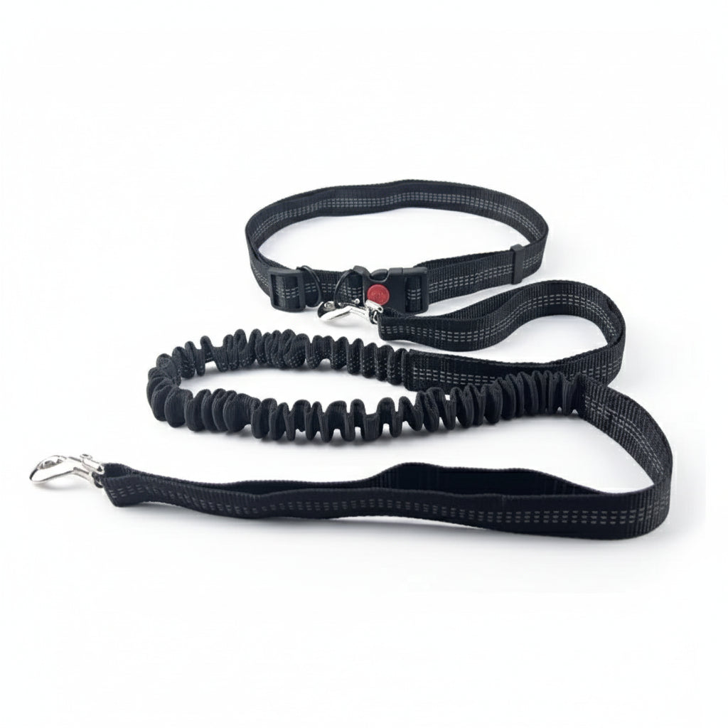 Hands-Free Dog Leash with Waist and Chest Straps