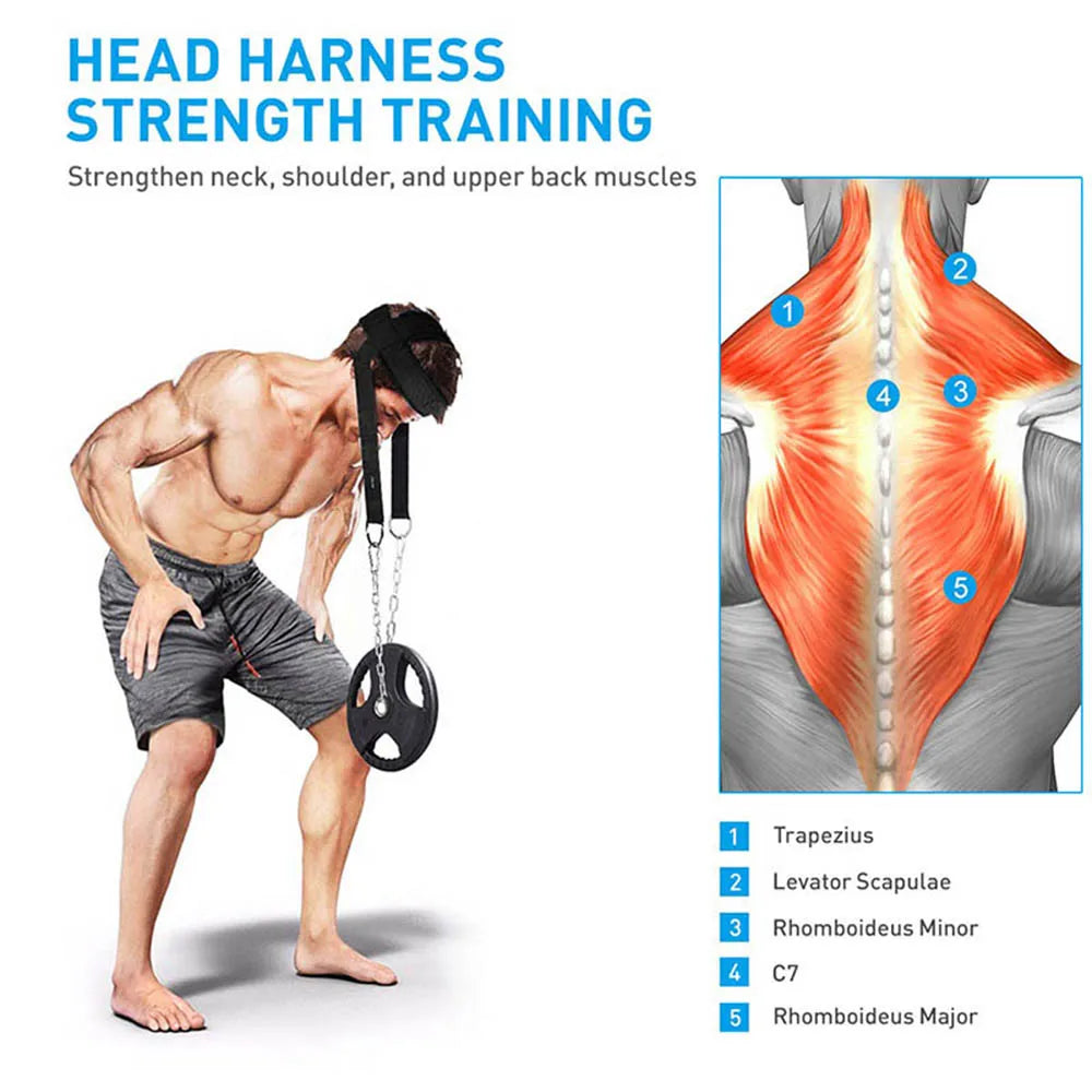 Adjustable Head and Neck Training Harness