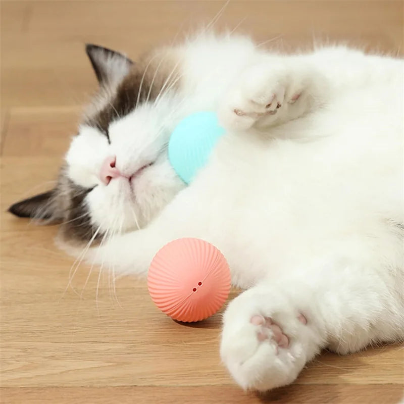 Interactive Automatic Moving Pet Toy Ball