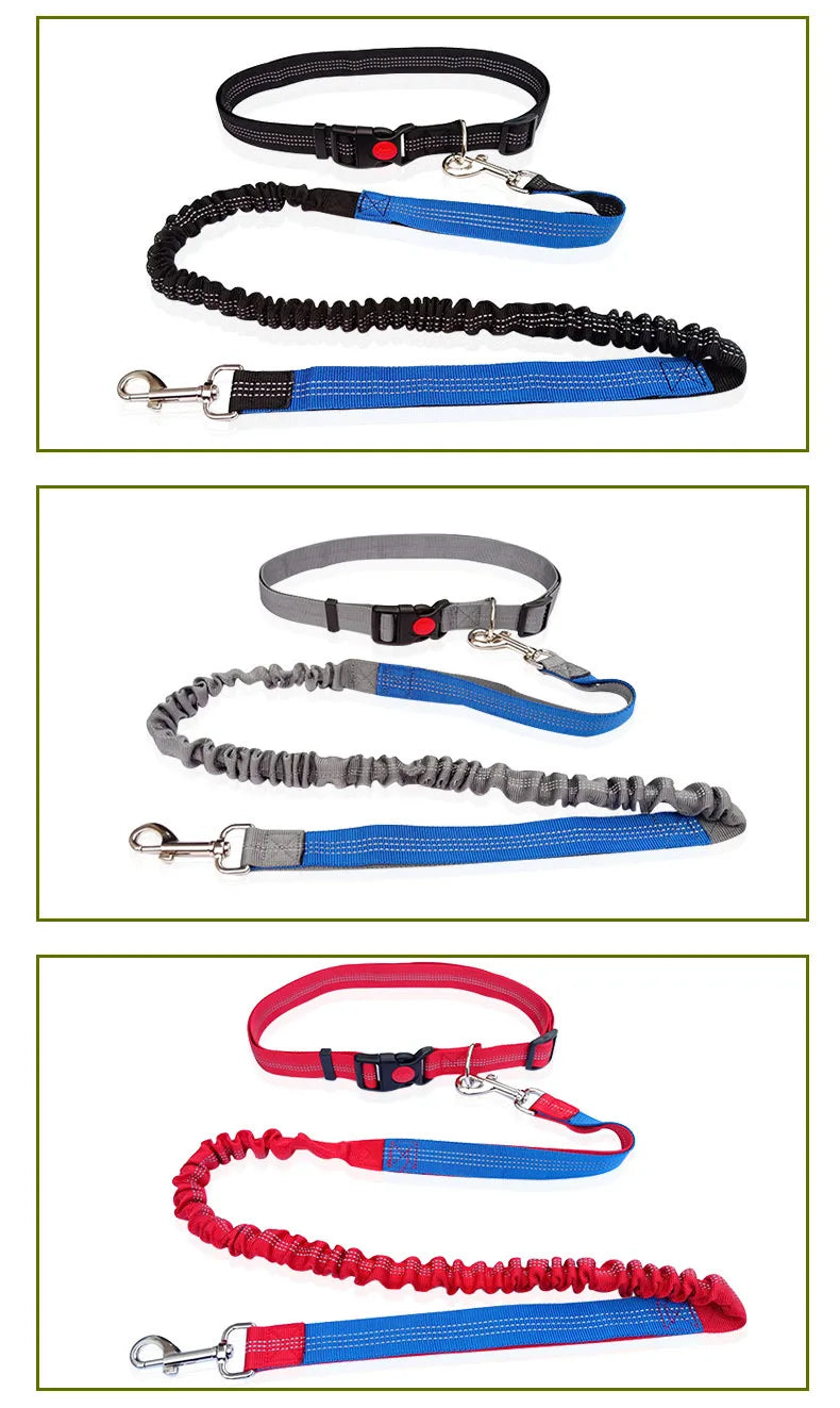 Hands-Free Dog Leash with Waist and Chest Straps