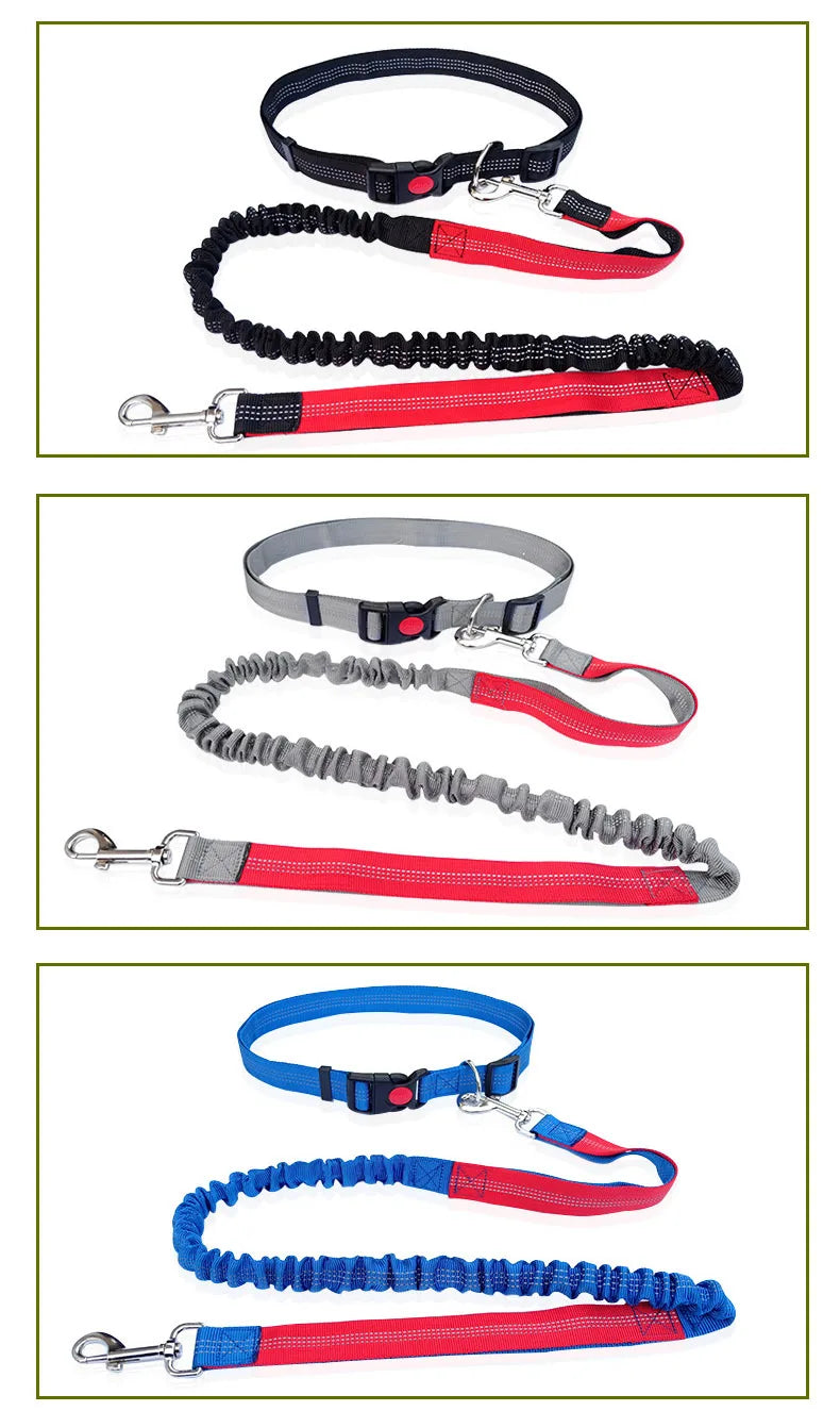 Hands-Free Dog Leash with Waist and Chest Straps