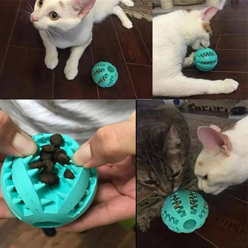Rubber Treat Feeder & Teeth Cleaning Puzzle