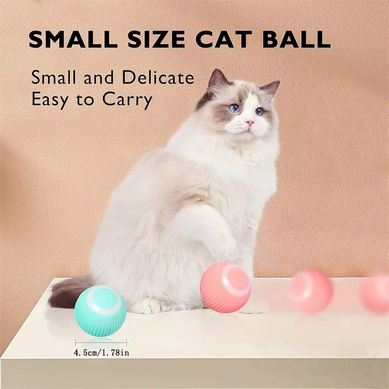 Interactive Automatic Moving Pet Toy Ball