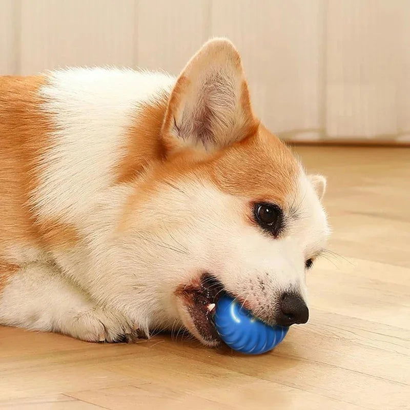 Interactive Automatic Moving Pet Toy Ball