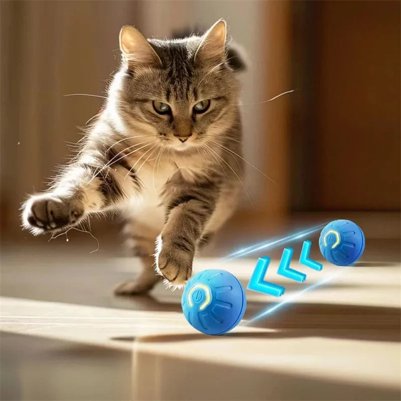 Interactive Automatic Moving Pet Toy Ball