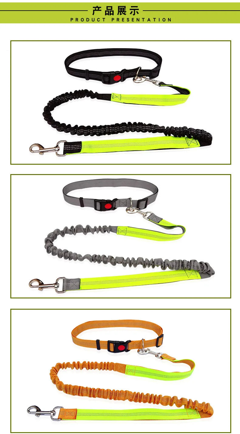 Hands-Free Dog Leash with Waist and Chest Straps