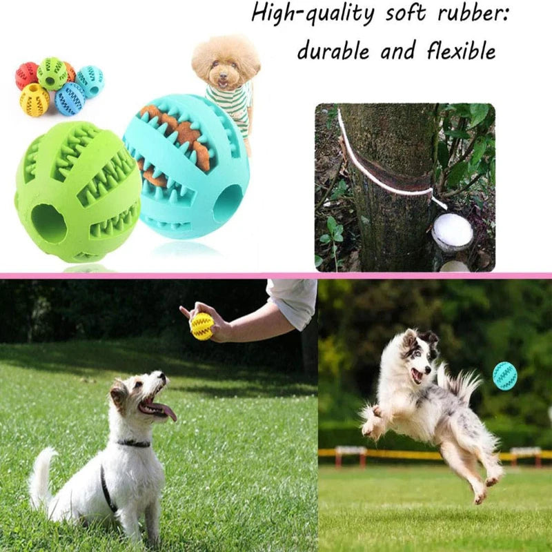 Rubber Treat Feeder & Teeth Cleaning Puzzle