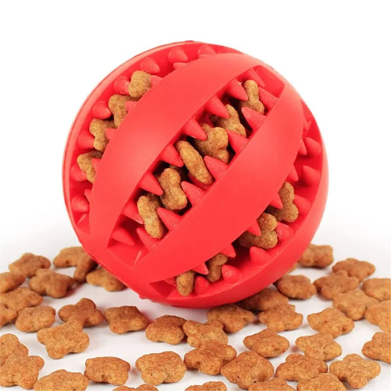 Rubber Treat Feeder & Teeth Cleaning Puzzle
