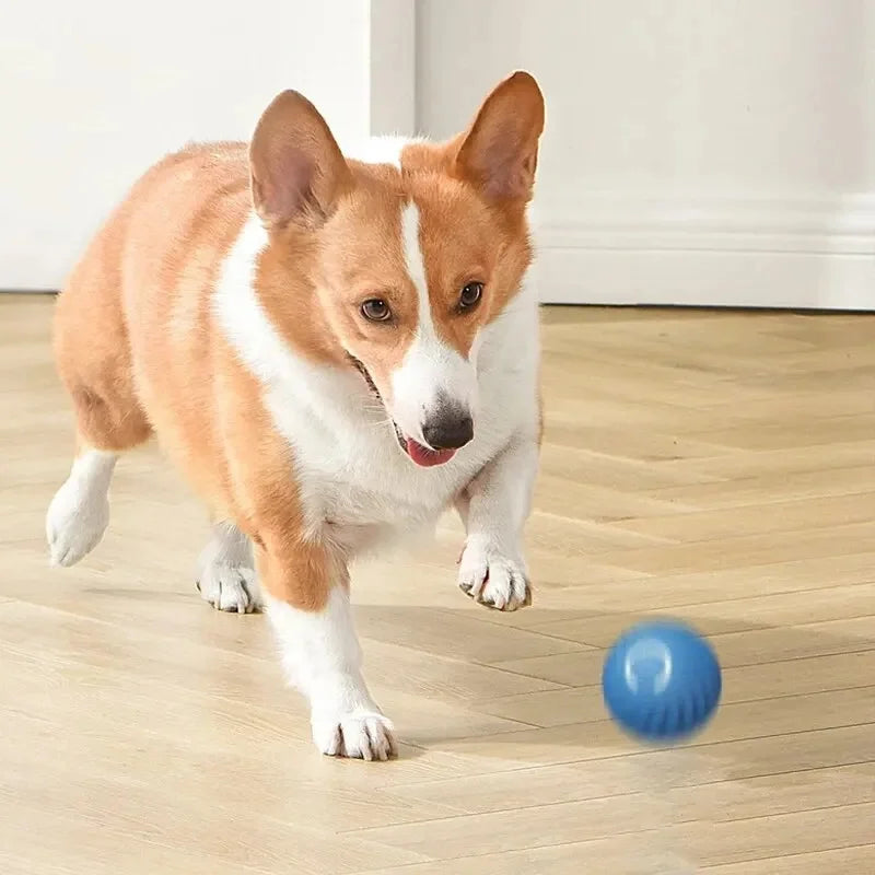 Interactive Automatic Moving Pet Toy Ball