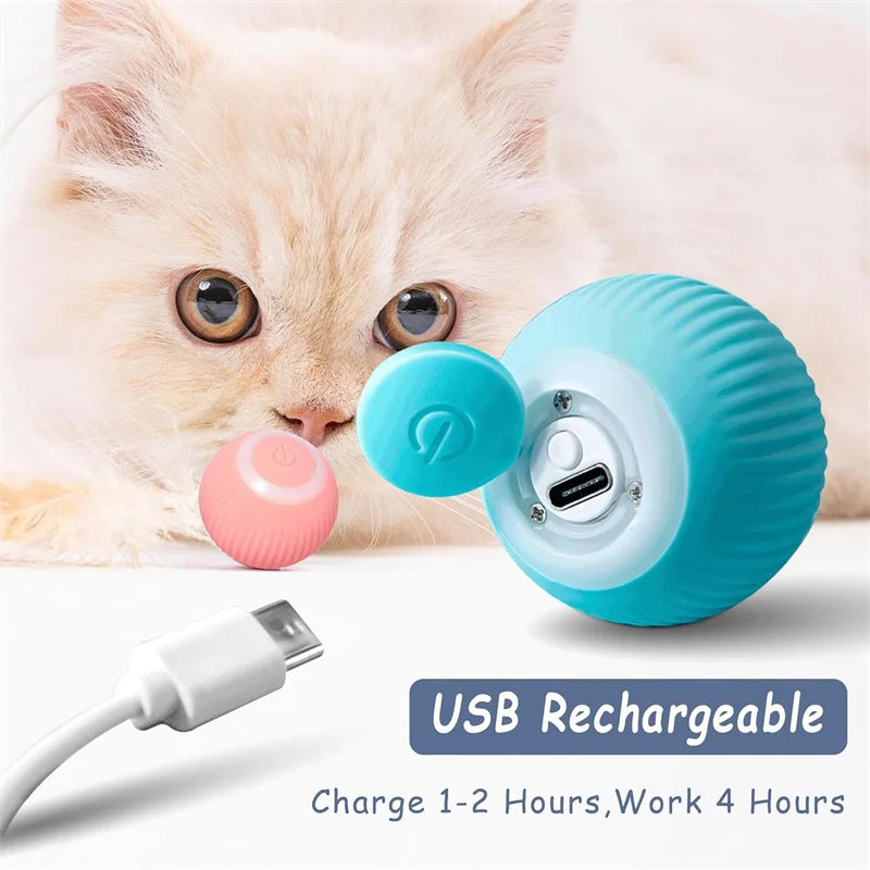 Interactive Automatic Moving Pet Toy Ball