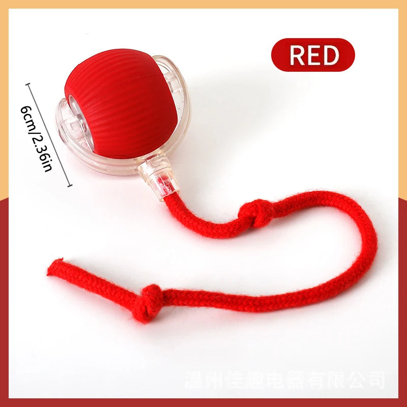 Interactive Automatic Moving Pet Toy Ball