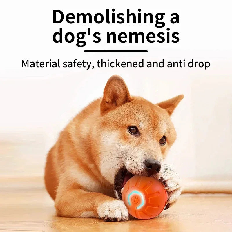Interactive Automatic Moving Pet Toy Ball