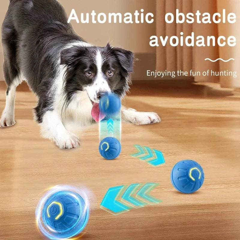Interactive Automatic Moving Pet Toy Ball