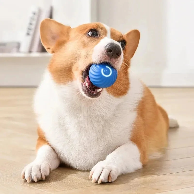 Interactive Automatic Moving Pet Toy Ball