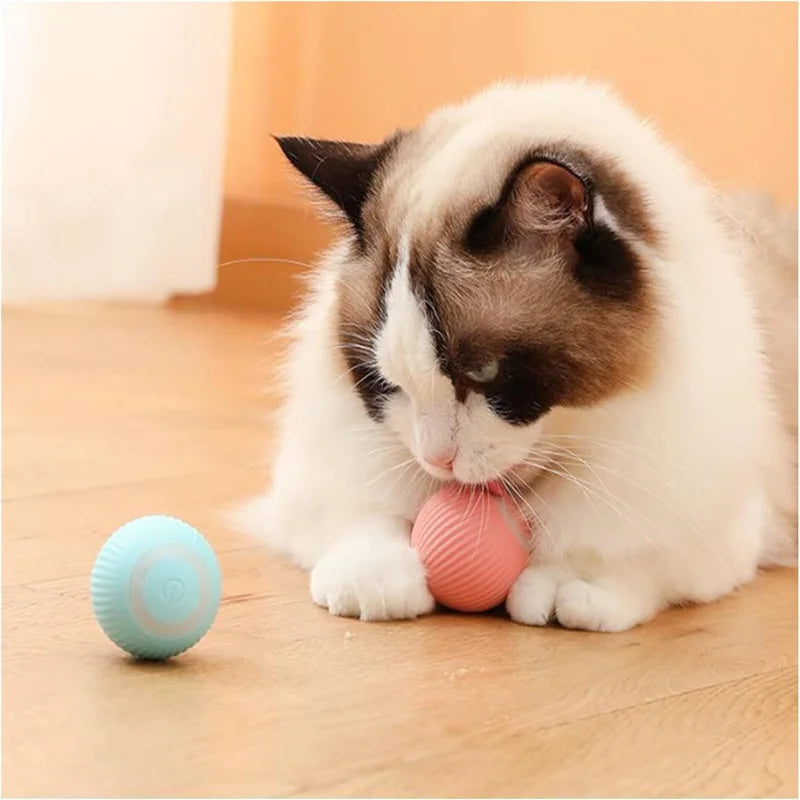 Interactive Automatic Moving Pet Toy Ball