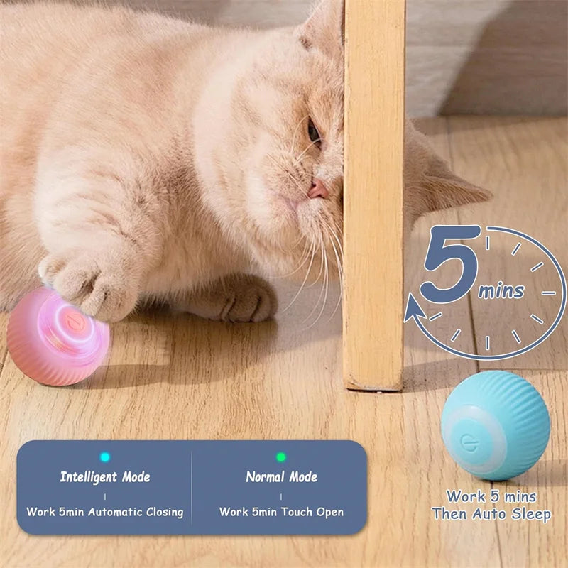Interactive Automatic Moving Pet Toy Ball