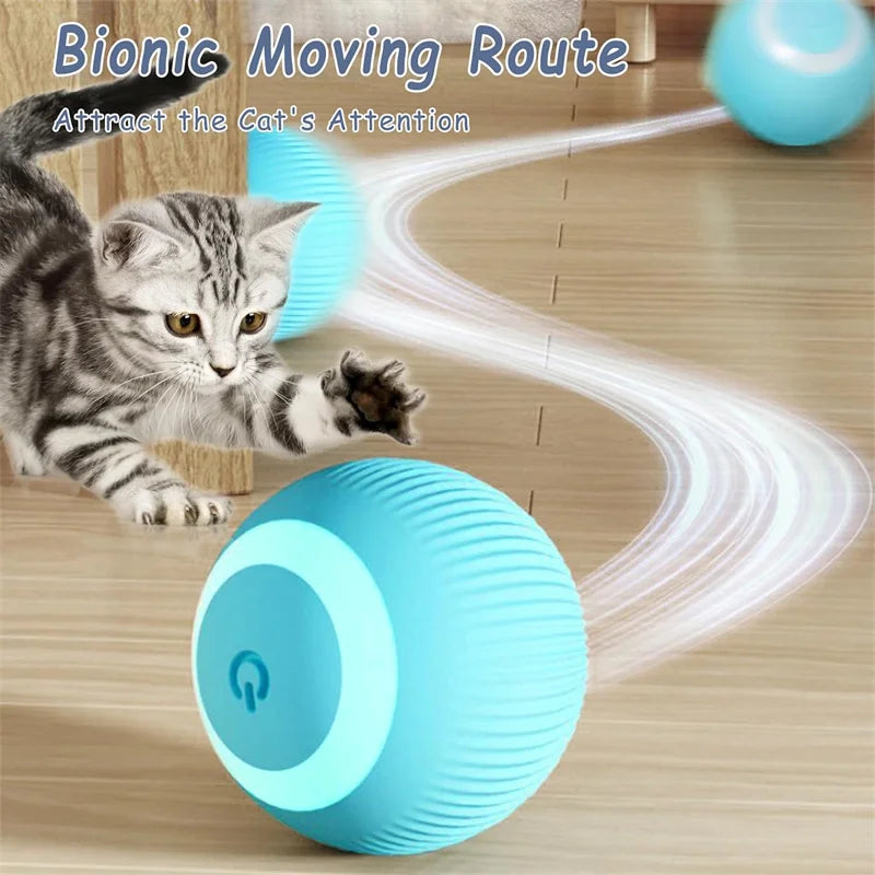 Interactive Automatic Moving Pet Toy Ball