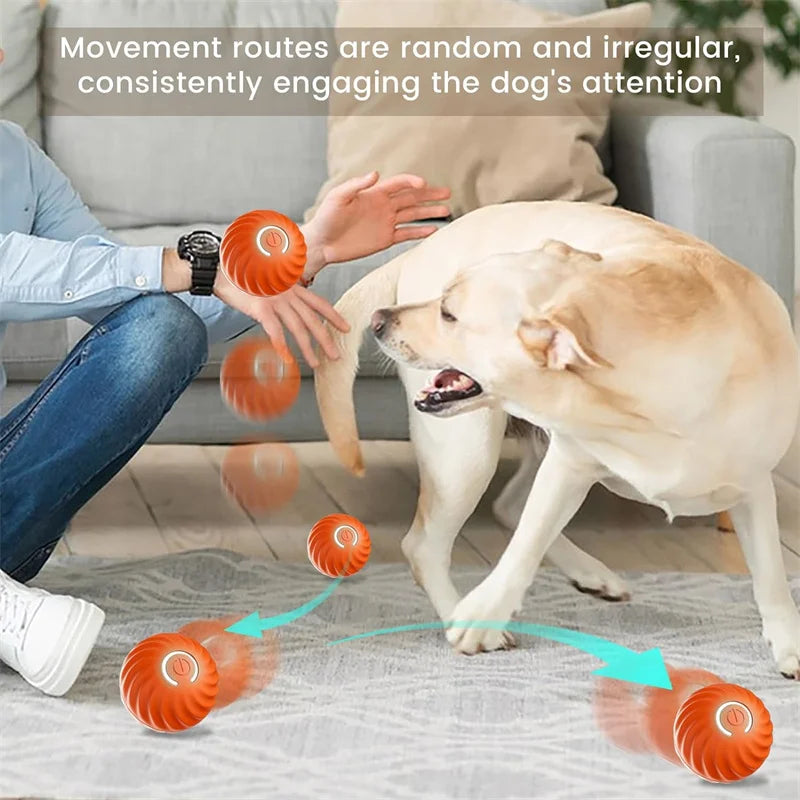 Interactive Automatic Moving Pet Toy Ball